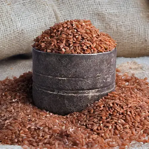 About – Anu Green Life – Organic Products